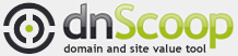 dnScoop - egy domain értéke