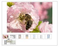 szaki gallery Joomla! 1.5 plugin